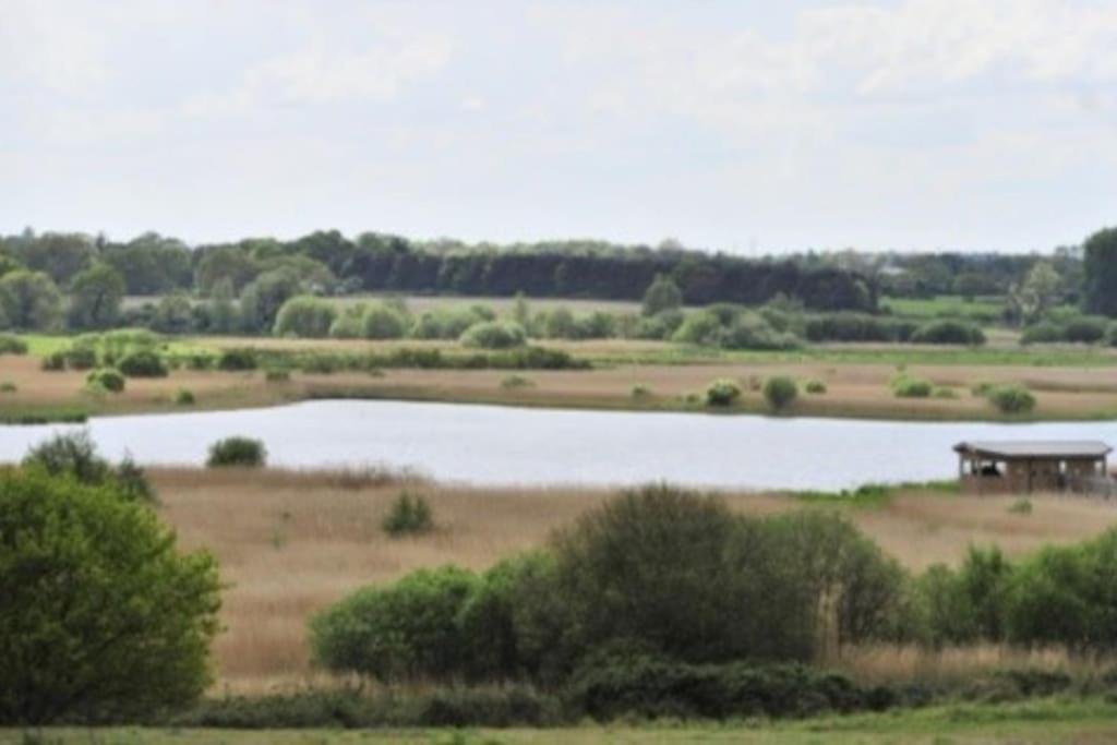 Apartamento Turnstone - Suffolk Coastal Escapes Pakefield Exterior foto